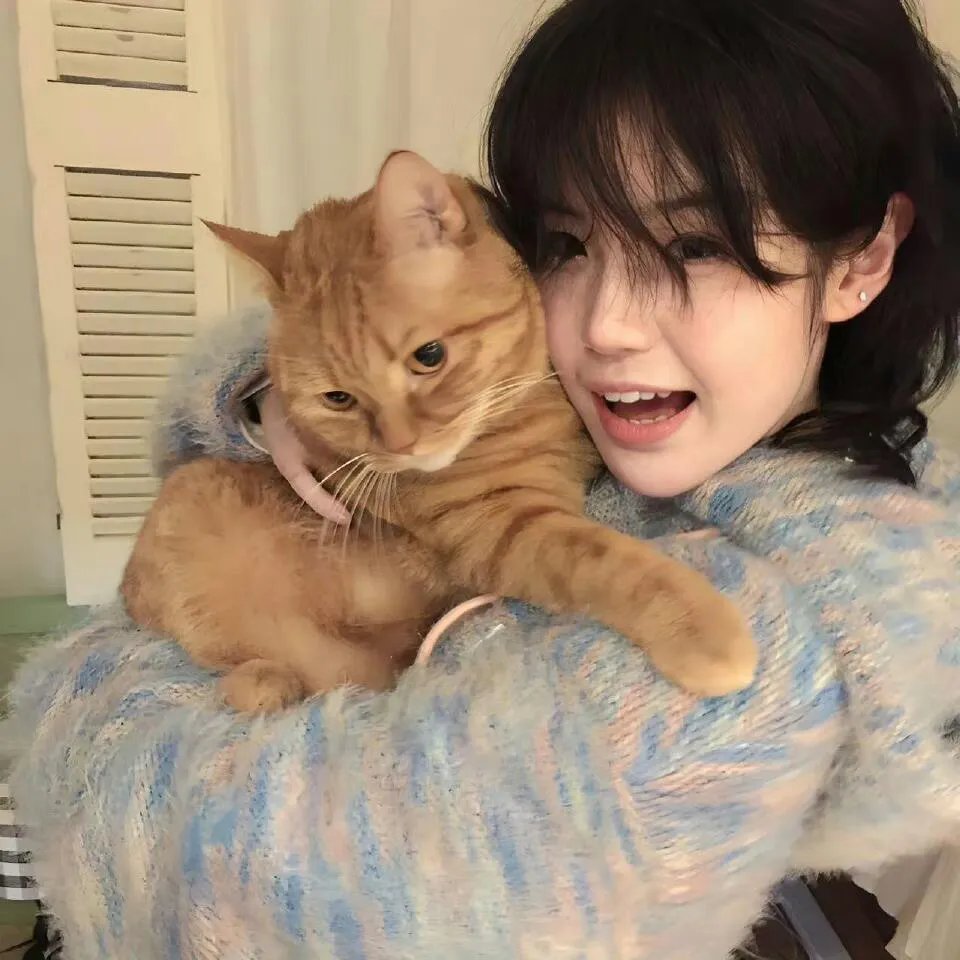 上辈子是恋爱脑